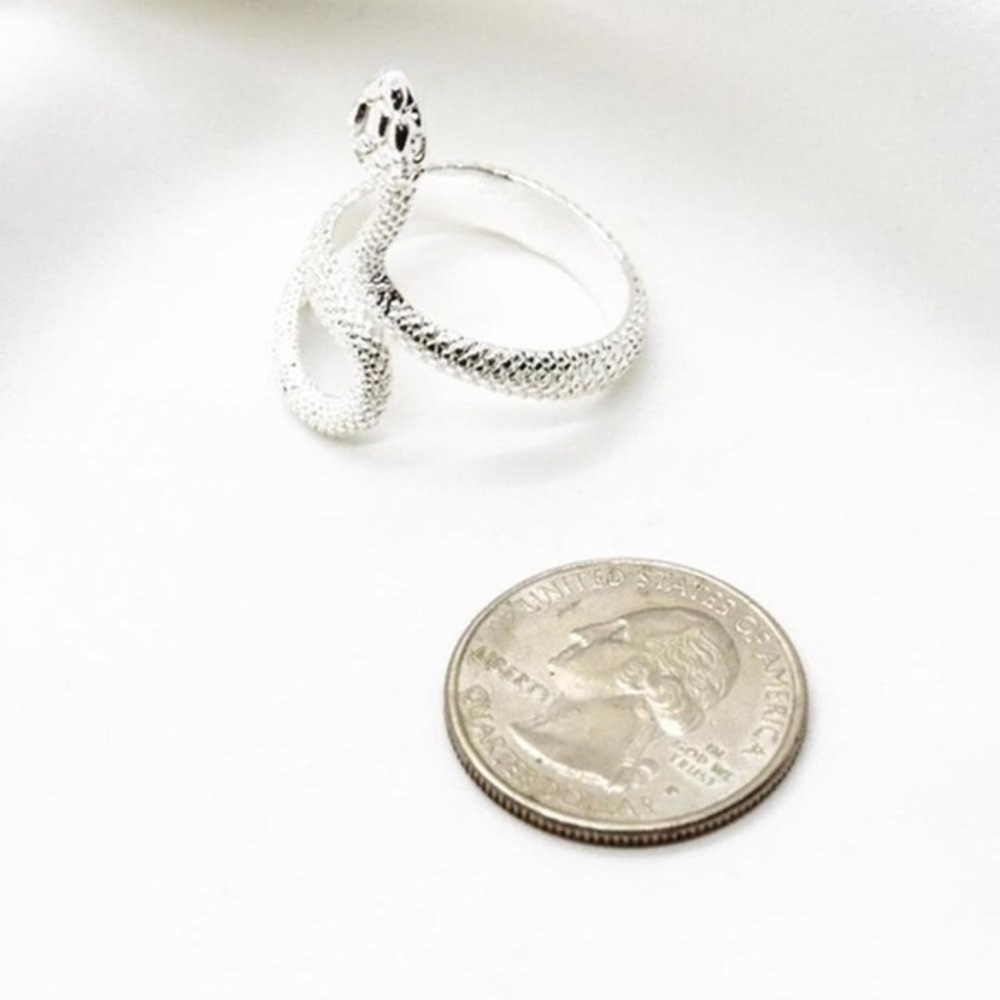 Silver Snake Design Ring - Picture 3 of 4